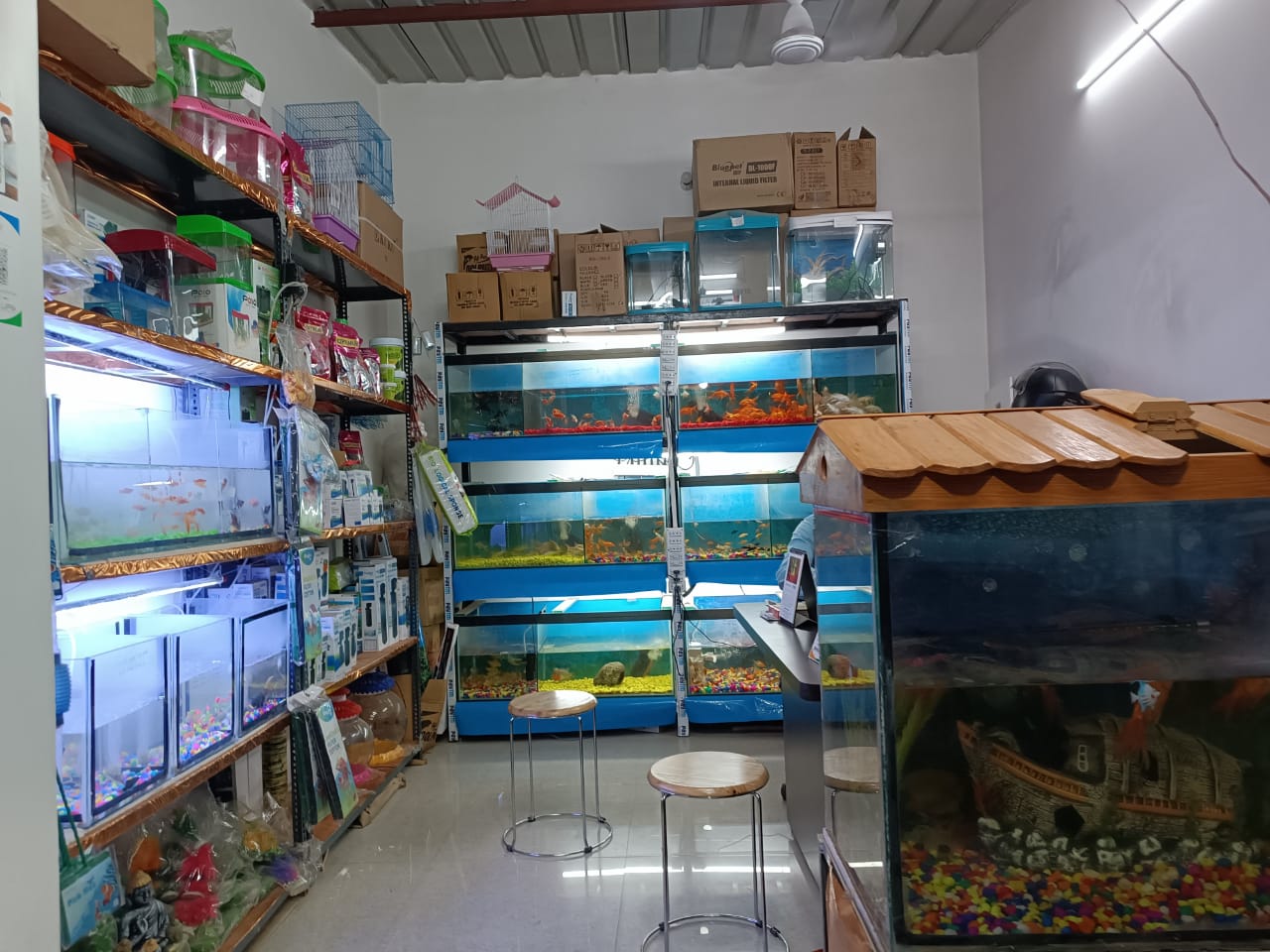 AQUARIUM SHOP IN PANRA RANCHI